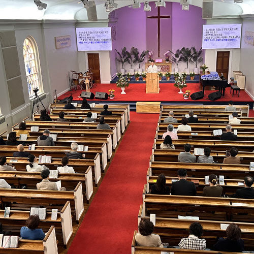 �����̹���