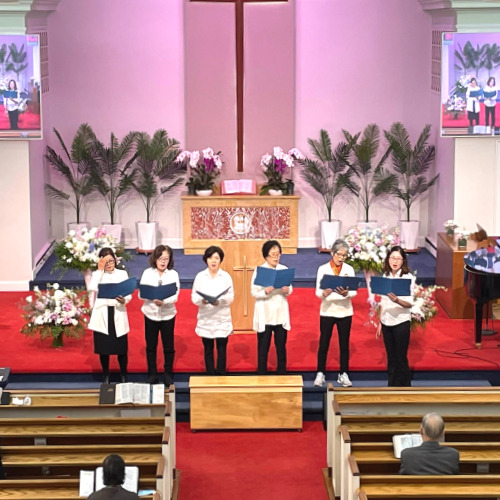 �����̹���